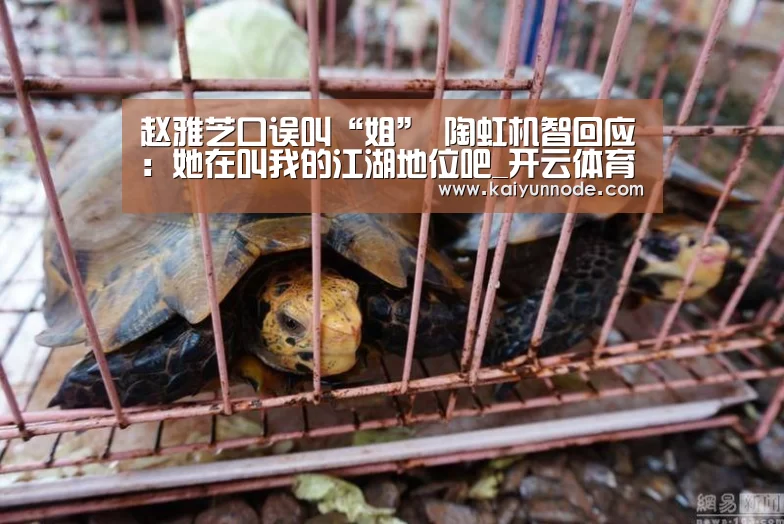 赵雅芝口误叫“姐”    陶虹机智回应：她在叫我的江湖地位吧_开云体育官网(图1)