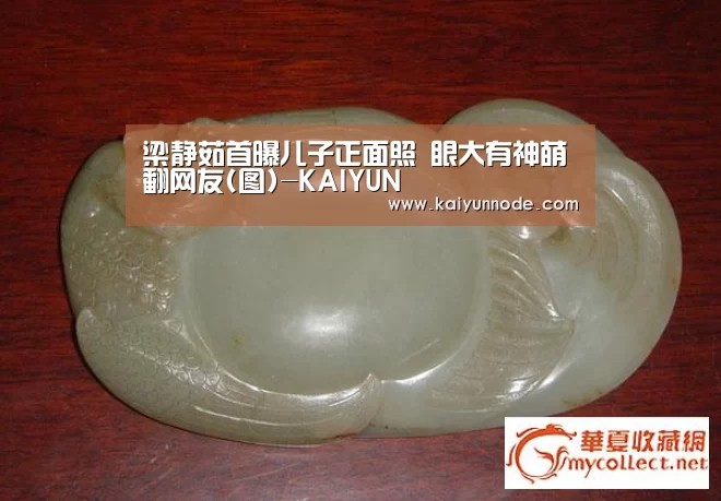 开云体育官网