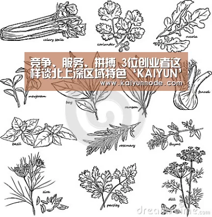 开云官网
